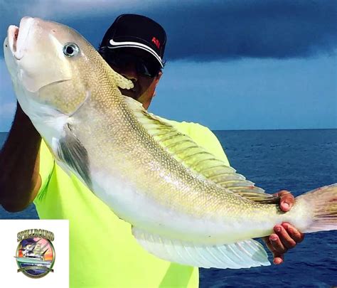 Fishing Charter Marketing Solutions.